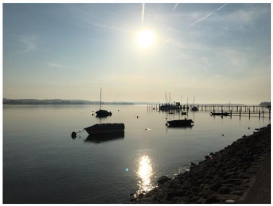 Ferienwohnung Bodensee Nenzingen Hegau Orsingen-Nenzingen ภายนอก รูปภาพ