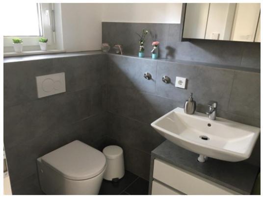 Ferienwohnung Bodensee Nenzingen Hegau Orsingen-Nenzingen ภายนอก รูปภาพ